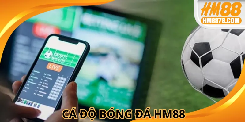 Cá Độ Bóng Đá HM88: Sân Chơi Lý Tưởng Cho Mọi Cược Thủ 2025