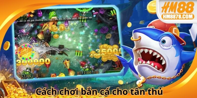 Cách chơi bắn cá cho tân thủ