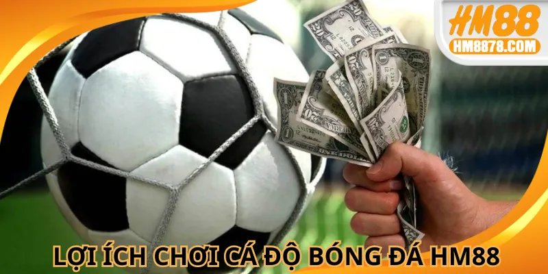 Người tham gia tận hưởng cá cược bóng đá hấp dẫn