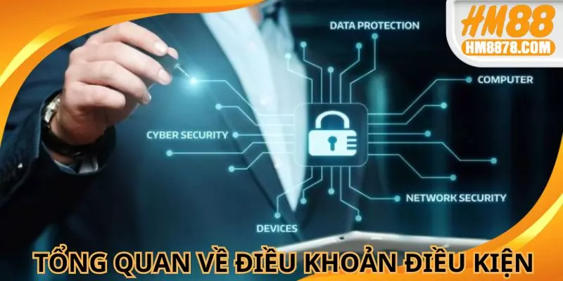 Tổng quan về điều khoản và điều kiện khi sử dụng dịch vụ nhà cái